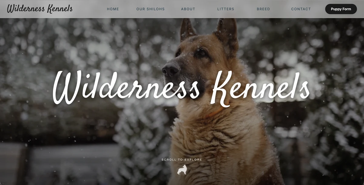 Wilderness Kennels website preview