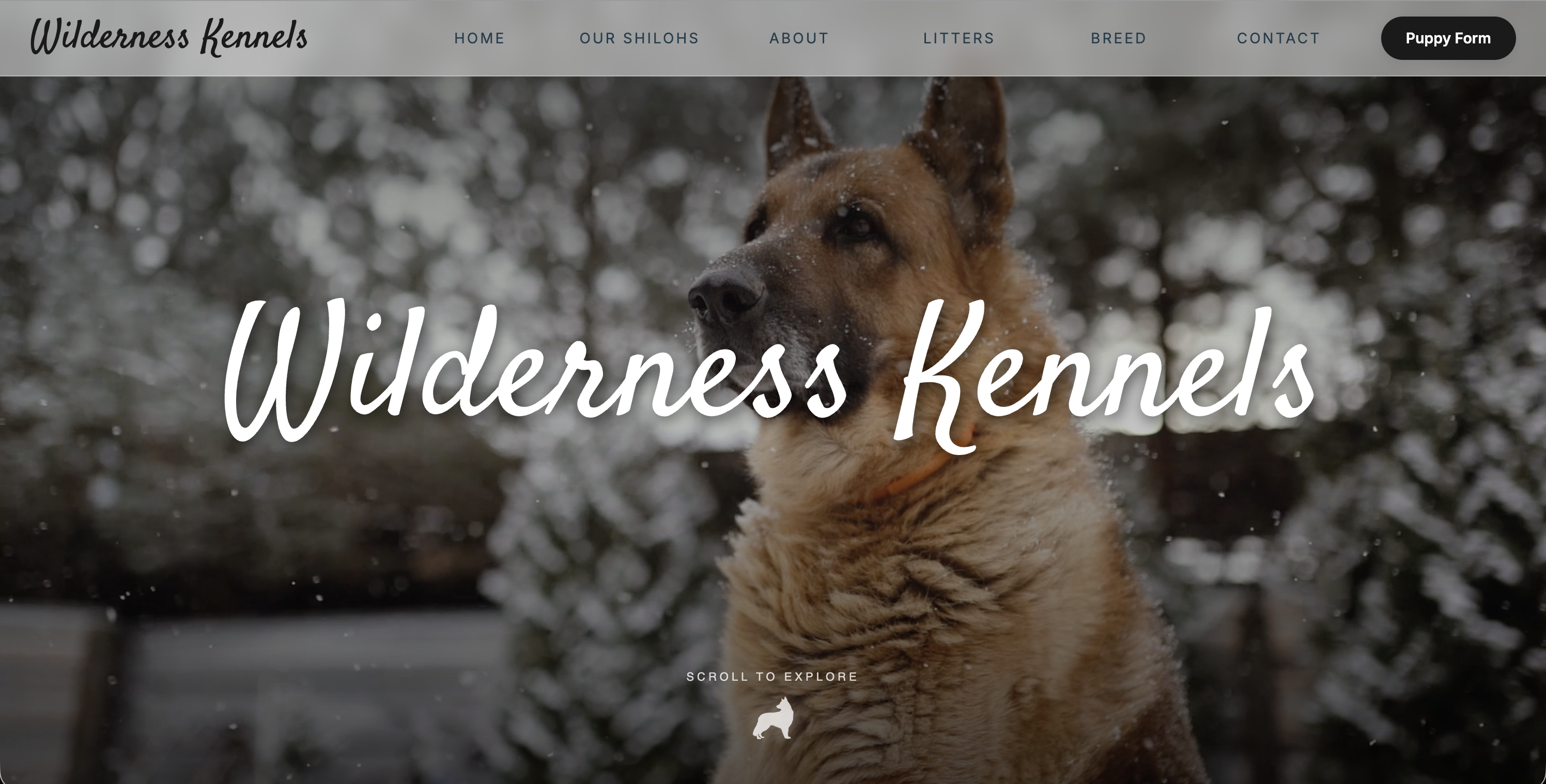 Wilderness Kennels website preview